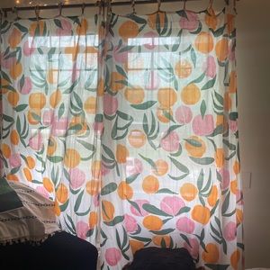 BUNDLE: Urban Outfitters PEACH SHOWER CURTAIN + WINDOW CURTAINS (2 panels)